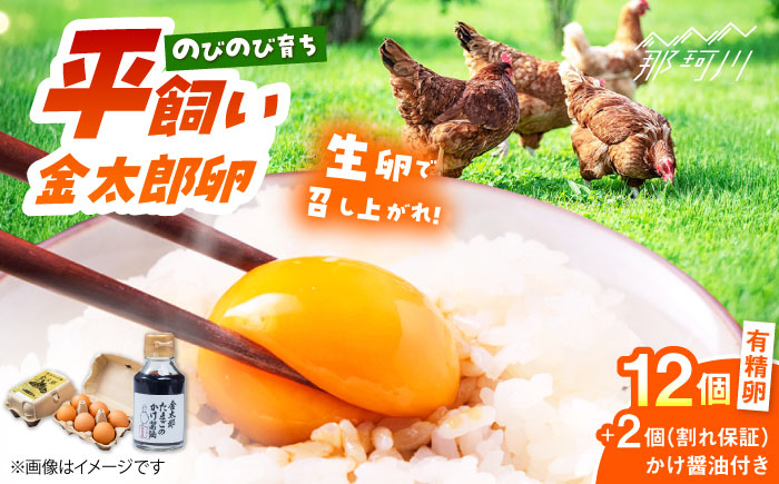 世界レベルの高品質・こだわりぬいた新鮮卵　平飼い 卵 卵かけごはん  専用醤油 セット