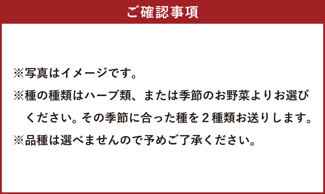 095-715 木製プランター菜園キット~元気なタネと土のコンテナガーデンキット~ ガーデニング