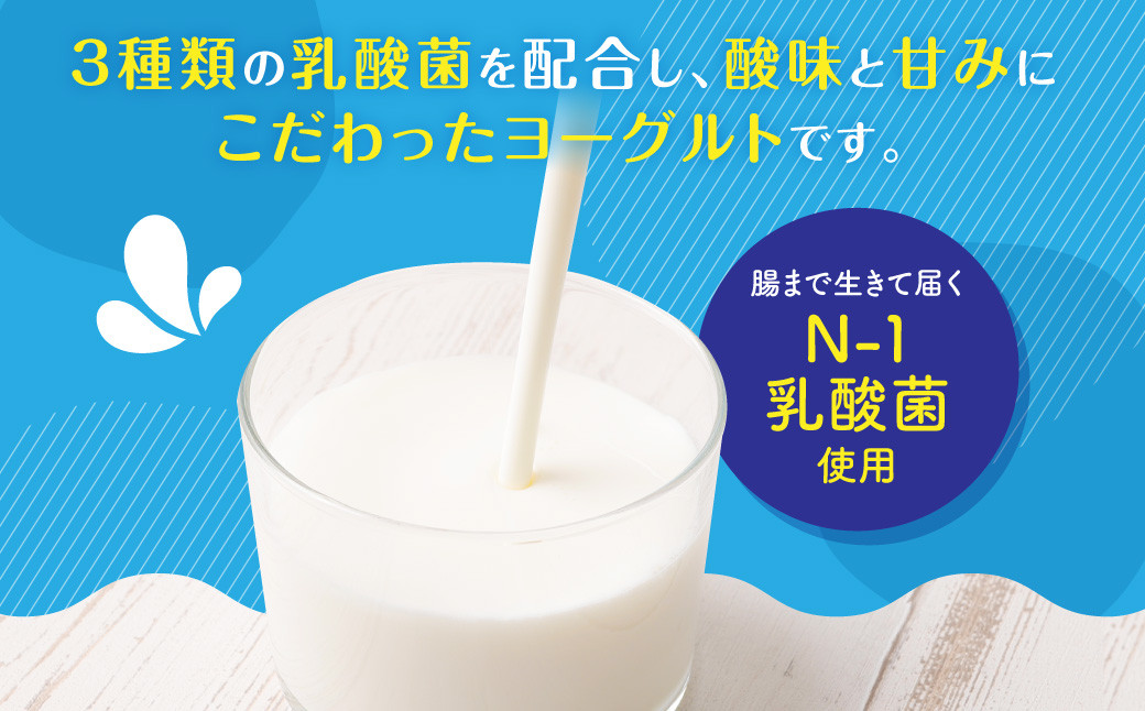 【3回定期便】“牛乳屋さんがつくった”のむヨーグルト  500ml×5本×3回 合計7.5L
