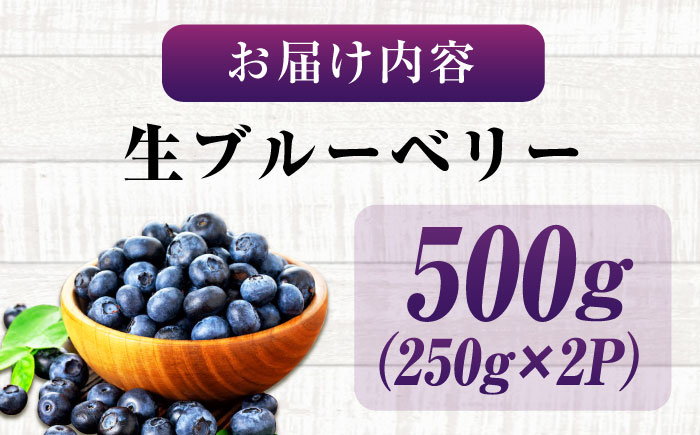 ブルーベリー ぶるーべりー ベリー 果物 くだもの フルーツ