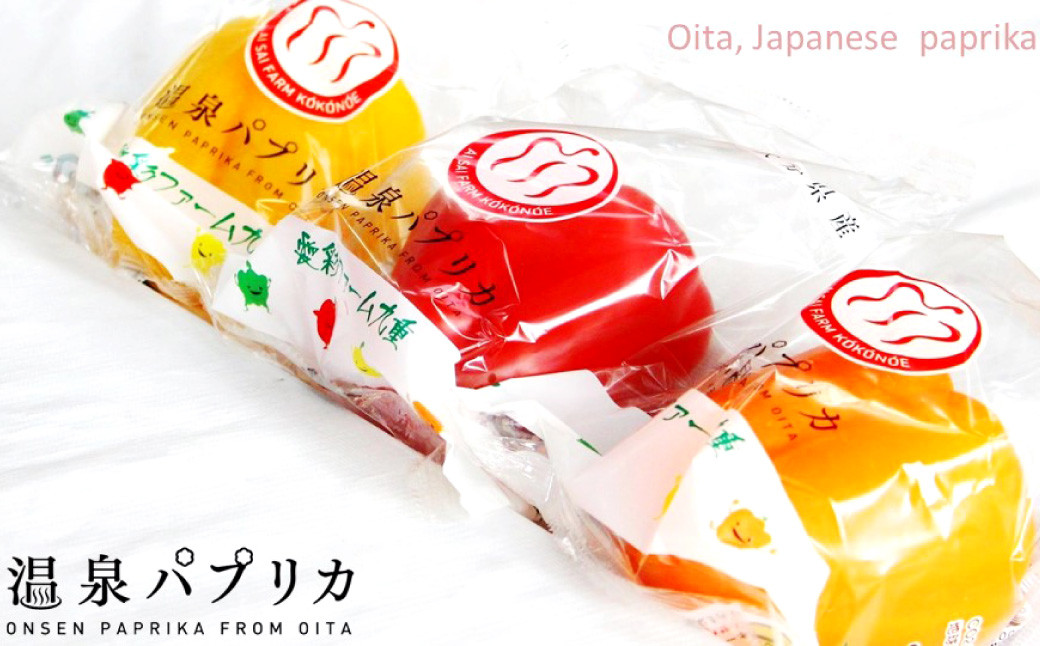 【隔月6回定期便】 大分県 九重町産 温泉パプリカ 計約30kg(約5kg×6回)