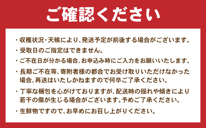 食品 やさい 野菜 サラダ 旬 甘い にんじん ニンジン 人参 キャロット きゃろっと 10kg 季節限定 産地直送 ジュース