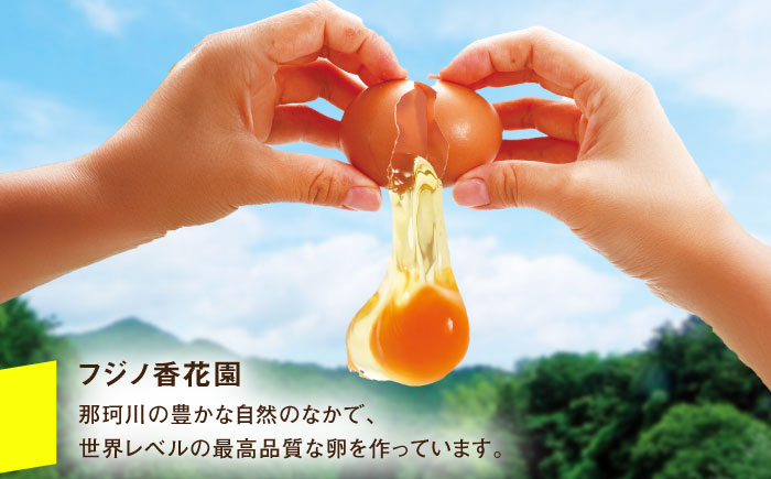 卵 たまご 平飼い 新鮮 国産 玉子 鶏卵