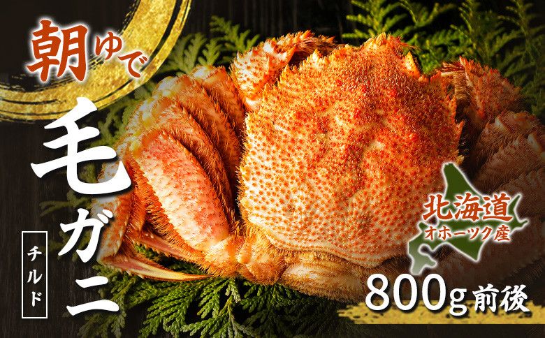 北海道オホーツク海産 朝ゆで毛ガニ 800g前後（冷蔵）