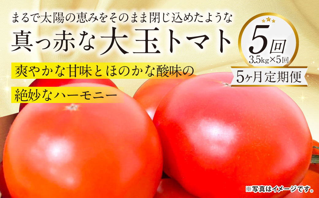 【5か月連続定期便】『まるで太陽の恵みをそのまま閉じ込めたような真っ赤な大玉トマト』約4kg×5回 計17.5㎏
