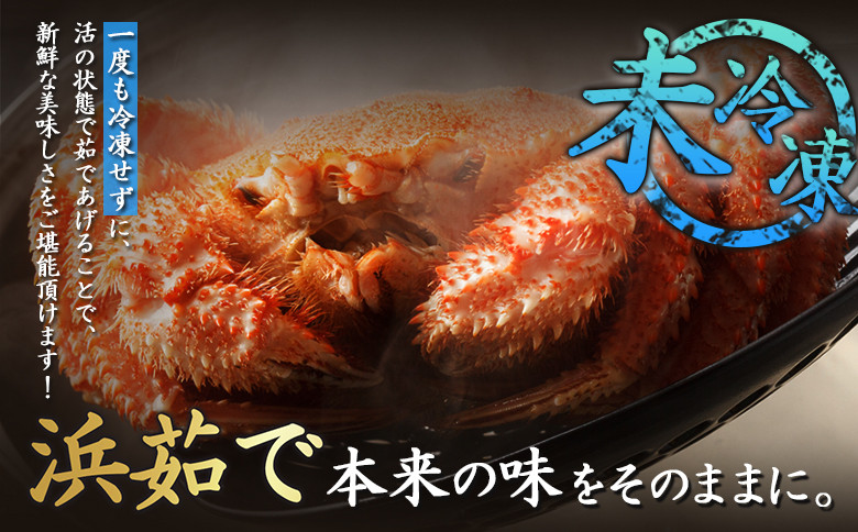 北海道オホーツク海産 朝ゆで毛ガニ 800g前後（冷蔵）