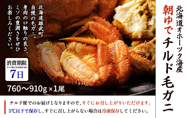 北海道オホーツク海産 朝ゆで毛ガニ 800g前後（冷蔵）