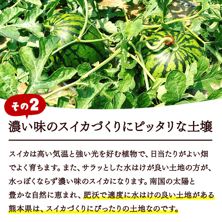 ひとつひとつ、愛情こめて育てています(^^♪