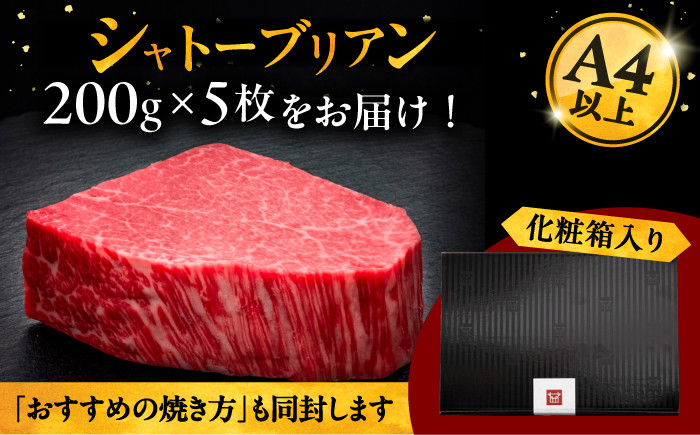博多和牛 肉 ステーキ シャトーブリアン 1kg 牛ステーキ