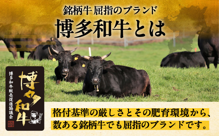 博多和牛 肉 ステーキ シャトーブリアン 1kg 牛ステーキ