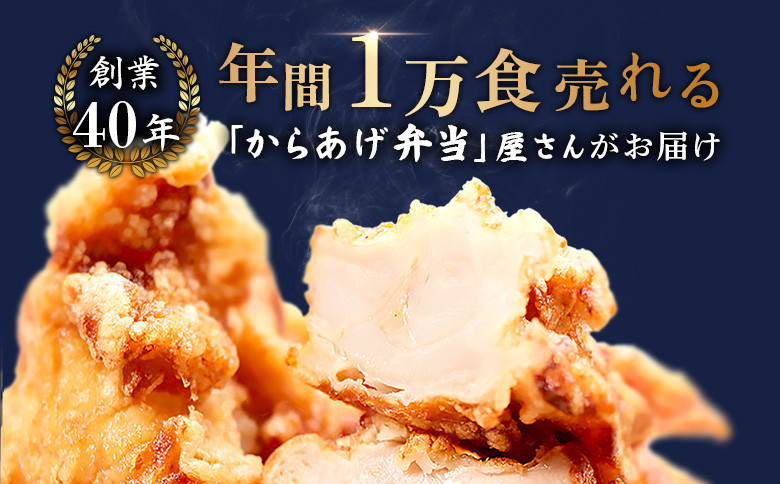 【レンジで簡単】鶏のからあげ もも肉600g(300g×2パック)