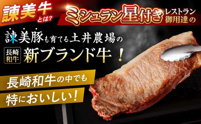長崎和牛 牛肉 ぎゅうにく 和牛 牛 肉 にく 国産 国産牛 焼肉 やきにく サーロインステーキ さーろいんすてーき サーロイン