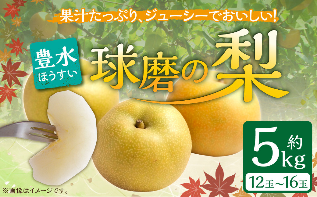 熊本県ＪＡくま産　球磨の梨　豊水 5kg（12玉～16玉）