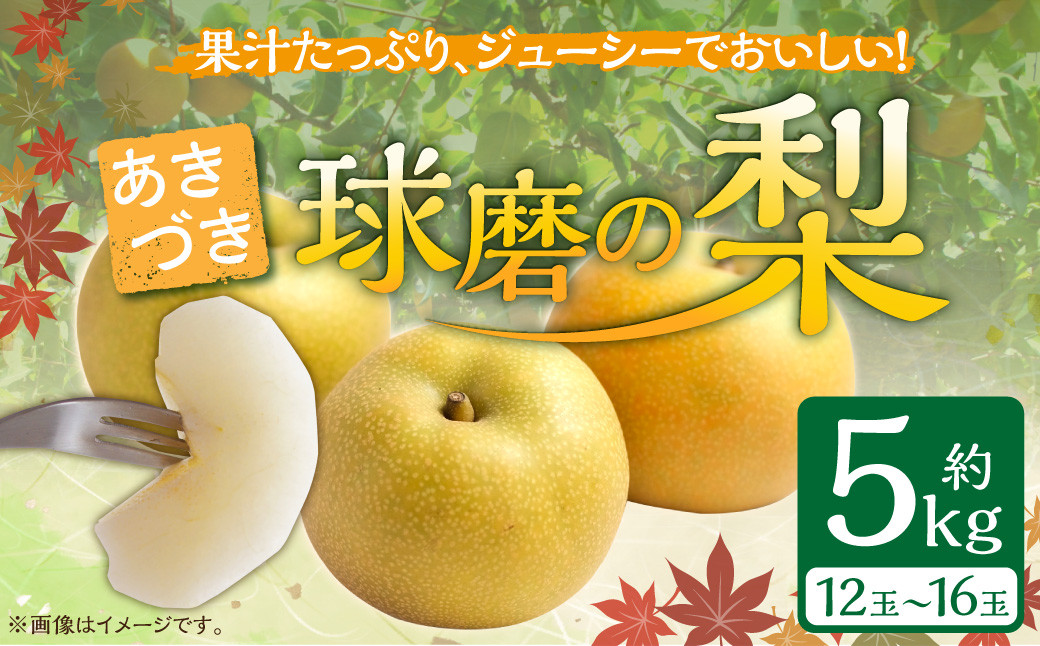 熊本県ＪＡくま産　球磨の梨　あきづき 5kg（12玉～16玉）