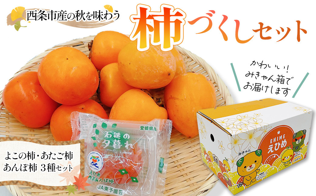 ※箱のデザインは変更になる場合がございます