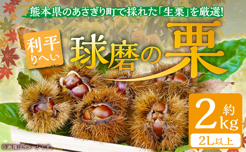 熊本県ＪＡくま産　球磨の栗　利平 2kg(2L以上)
