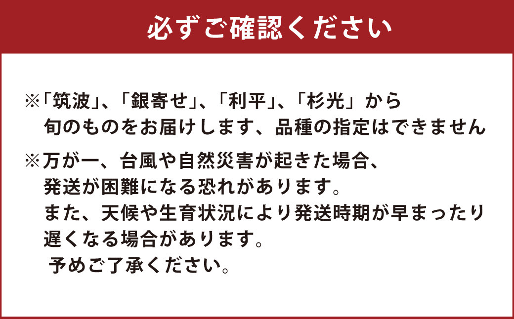熊本県ＪＡくま産　球磨の栗　2kg(2L以上　旬な品種)
