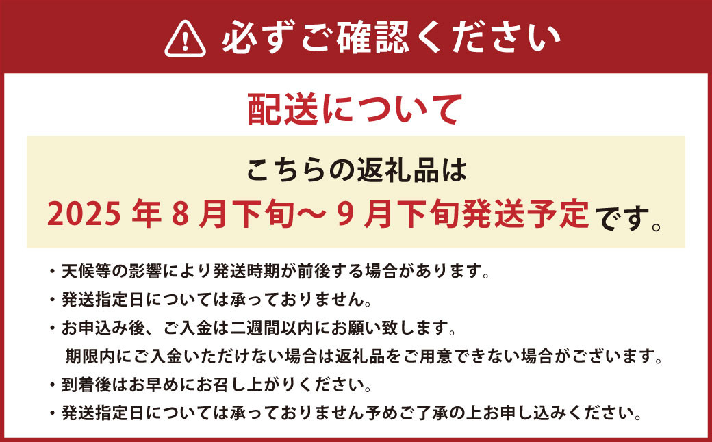 熊本「旬の梨」約5kg