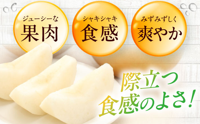 梨 あきづき 果物 くだもの 秋の味覚 フルーツ ナシ なし 美味しい おやつ かおり 朝ごはん 贈り物 贈答