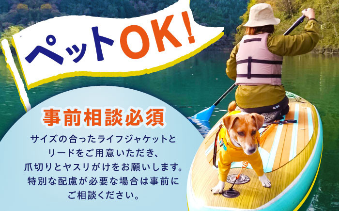 サップツアー 体験 アクティビティ チケット リフレッシュ 自然 SUP 贈答 ギフト おすすめ 人気 岐阜県 恵那市