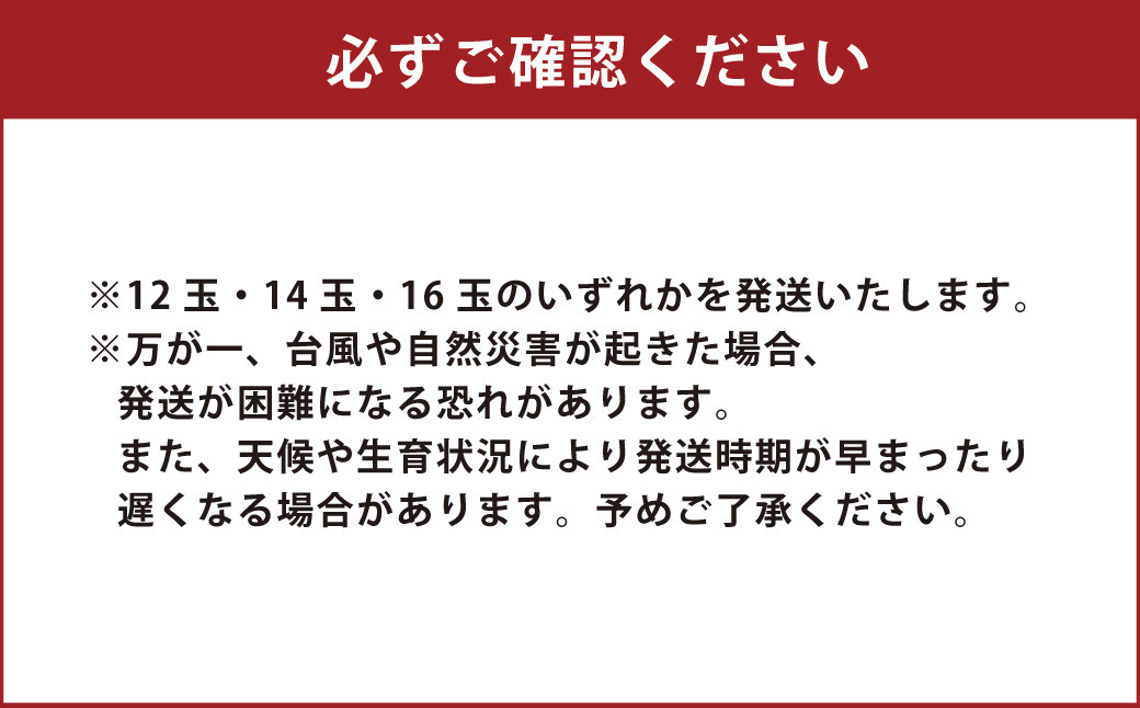 熊本県ＪＡくま産　球磨の梨　あきづき 5kg（12玉～16玉）