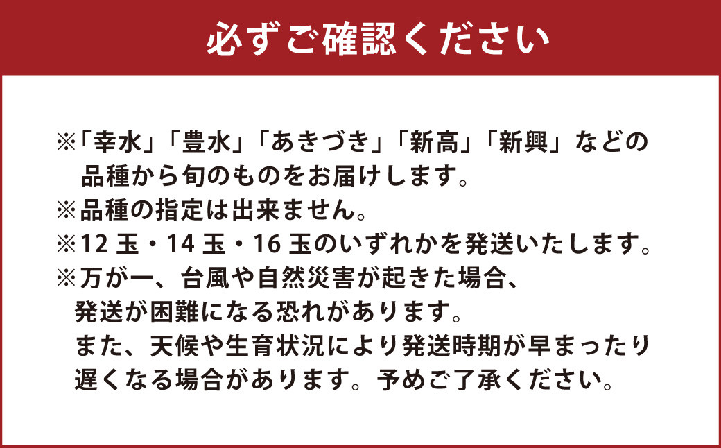 熊本県ＪＡくま産　球磨の梨　5kg（12・14・16玉　旬な品種）