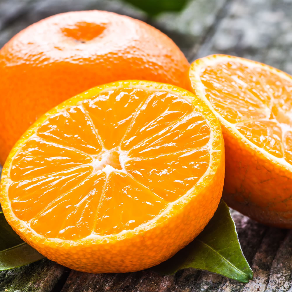 訳ありみかん 約5kg