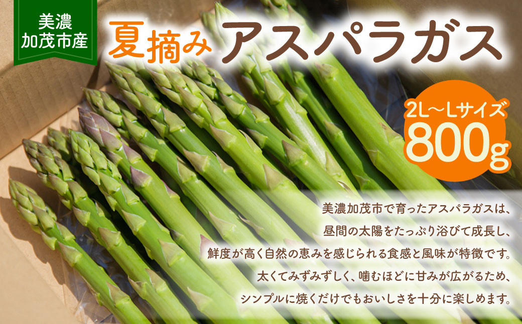 アスパラガス　800g