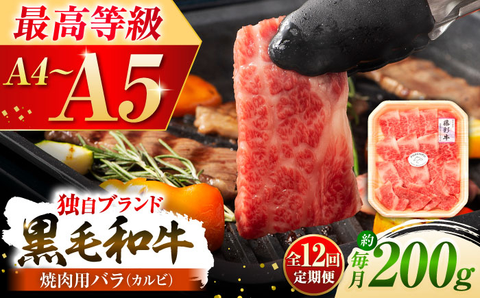 定期便 牛肉 焼肉 藤彩牛 黒毛和牛 焼肉用 ブランド牛 特産品 熊本県 菊陽町