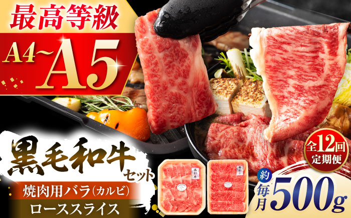 定期便 牛肉 焼肉 藤彩牛 黒毛和牛 焼肉用 ブランド牛 特産品 熊本県 菊陽町