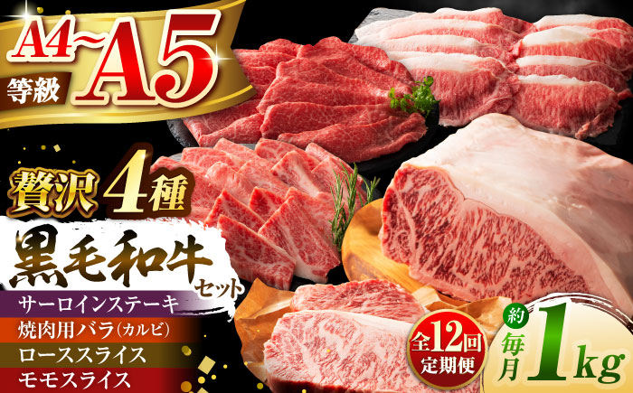 熊本県 菊陽町 ぎゅう 牛 ステーキ モモ サシ カルビ 赤身 あかみ 祝い ご褒美