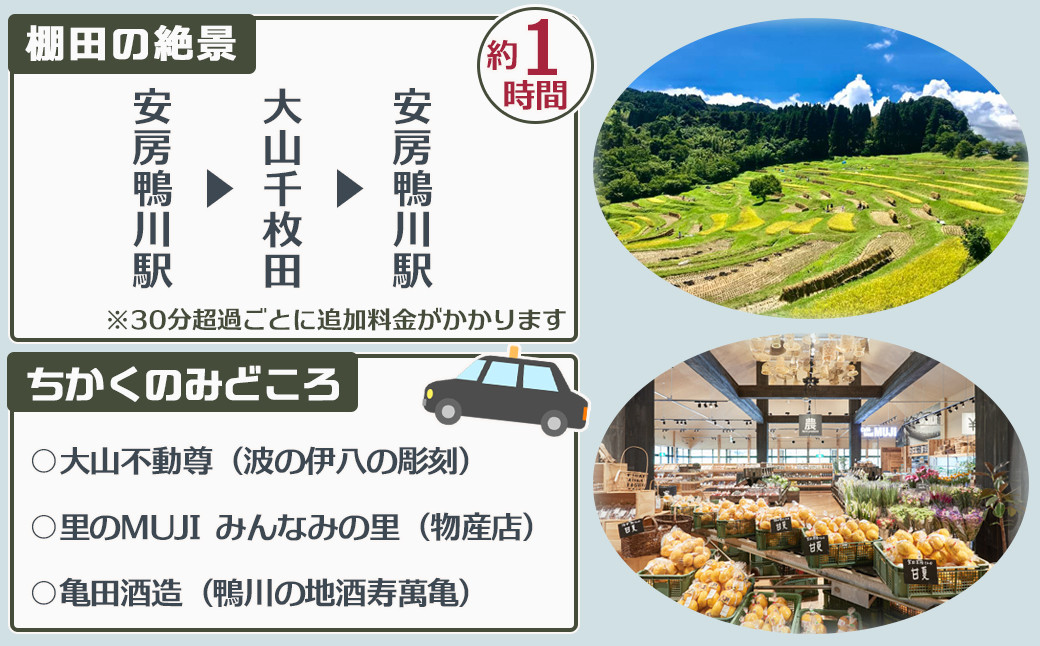 東京から一番近い棚田「大山千枚田」では、春は水田に映る空の青、夏は生命力に満ちた緑、秋は黄金色に揺れる稲穂の絶景。