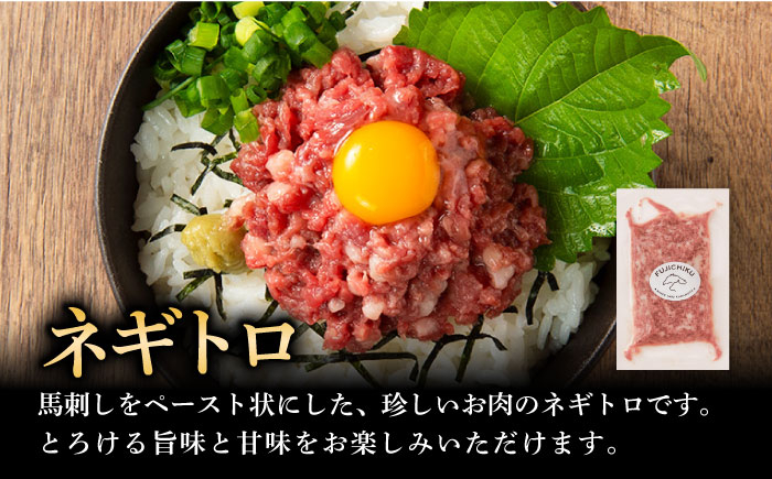 肉 馬肉 ネギトロ 馬刺し ユッケ 赤身 バサシ たれ付き ロース ランプ 特産品 熊本県 菊陽町