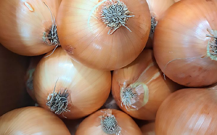 【野菜ソムリエサミット金賞】淡路島玉ねぎ10kg【仲田青果の淡路島いち玉ねぎ】