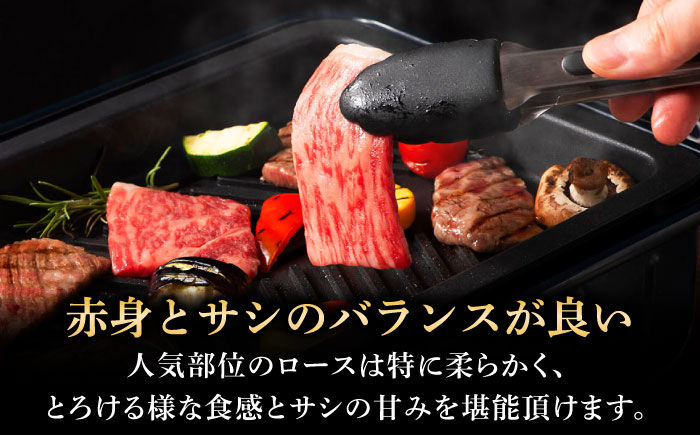 牛肉 黒毛和牛 国産 熊本県 菊陽町 牛 ぎゅう うし 肉 にく やきにく 新鮮 脂