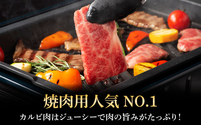  定期便 牛肉 焼肉 藤彩牛 黒毛和牛 焼肉用 ブランド牛 特産品 熊本県 菊陽町