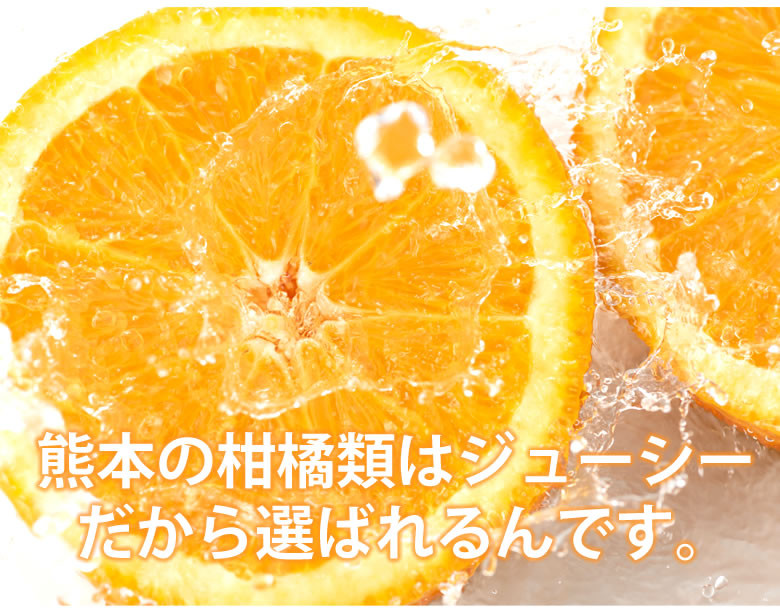 訳ありみかん 約5kg