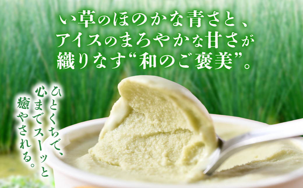 い草のほのかな青さと、アイスのまろやかな甘さが織りなす”和のご褒美”