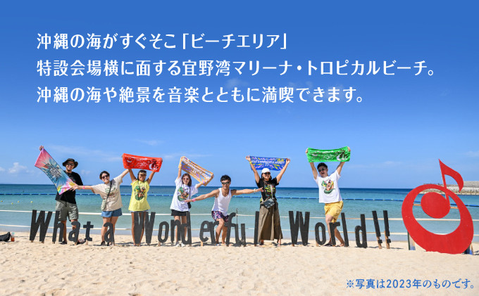 モンパチフェス MONGOL800 フェス What a Wonderful World!! 25 | 沖縄の海を満喫