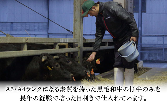 熊本 菊陽 牛 たべくらべ 肉 牛 ブランド スライス モモ カルビ やきにく お祝 ご褒美