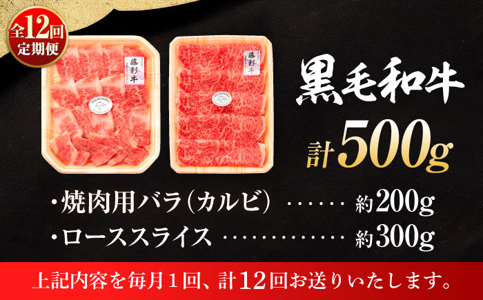 定期便 牛肉 焼肉 藤彩牛 黒毛和牛 焼肉用 ブランド牛 特産品 熊本県 菊陽町