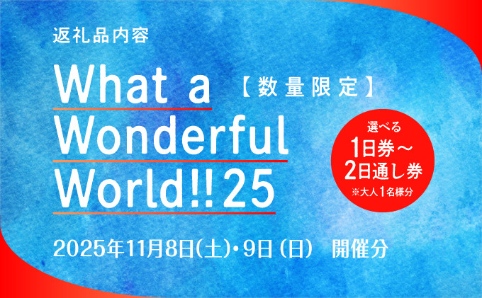 モンパチフェス MONGOL800 フェス What a Wonderful World!! 25 | 選べるチケット 