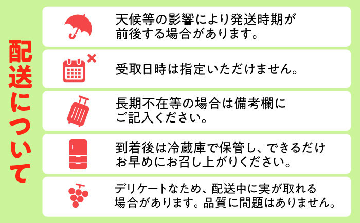 シャインマスカット 1箱 (600g〜700g×2房)  シャインマスカット しゃいんますかっと マスカット ますかっと