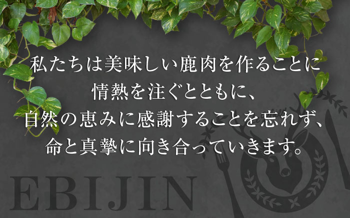 ペット用エゾ鹿挽き肉 ペット ペットフード ドッグフードおやつ ご褒美 トッピング 犬用 愛犬 わんちゃん 鹿肉 