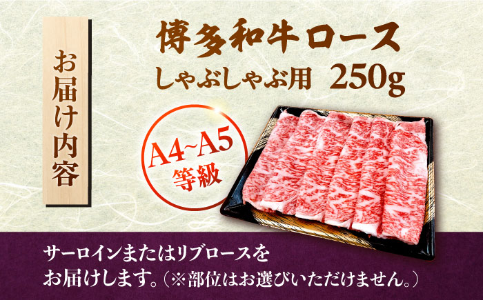 ロース肉 国産 和牛 A5 A4　ロース肉 サーロイン リブロース