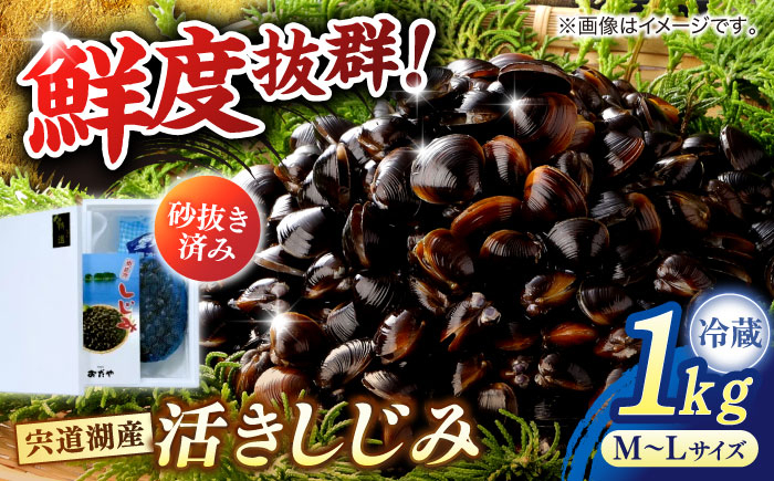 蜆 しじみ シジミ 宍道湖 魚介類 しじみ汁 産地直送 新鮮 松江 おすすめ