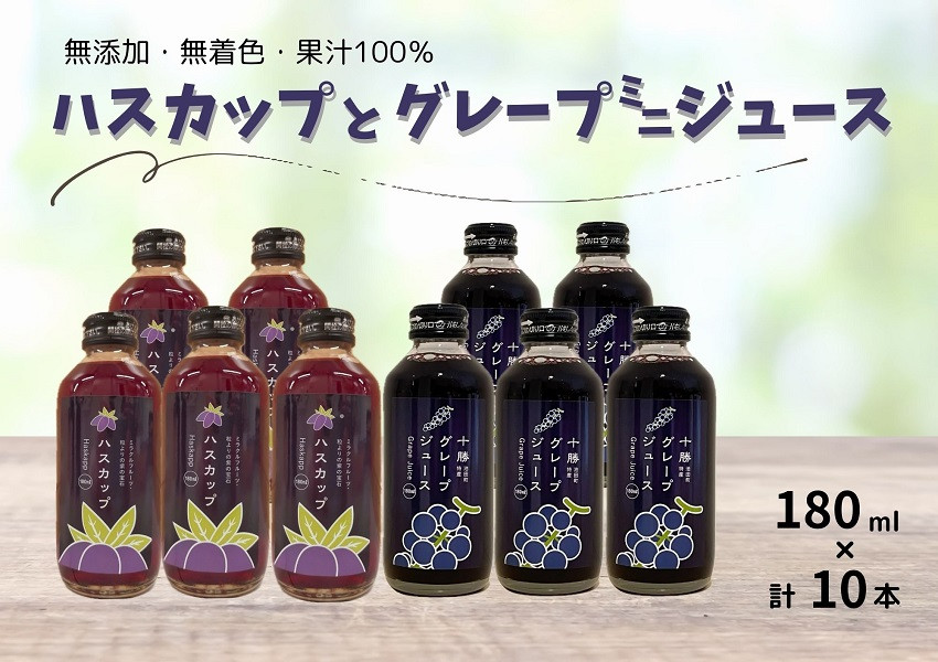 北海道の自然を感じるぶどうとハスカップのジュース。リピーター続出の人気返礼品！