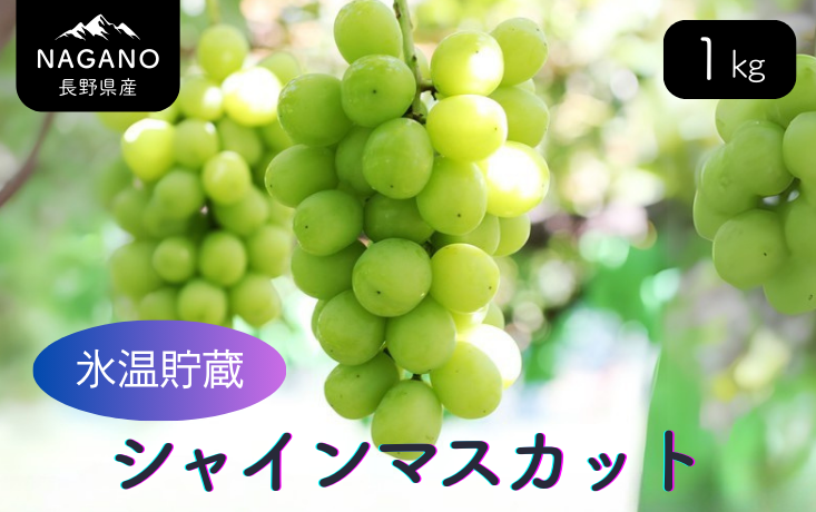 氷温貯蔵シャインマスカット 約1kg（1～3房）
