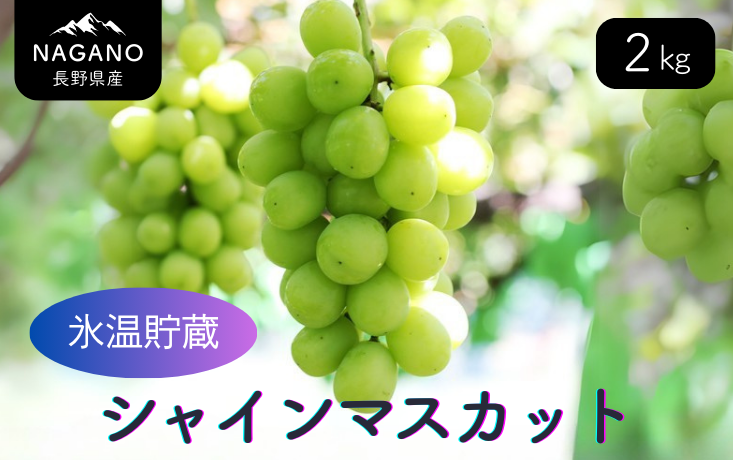 氷温貯蔵シャインマスカット 約2kg（3～5房）