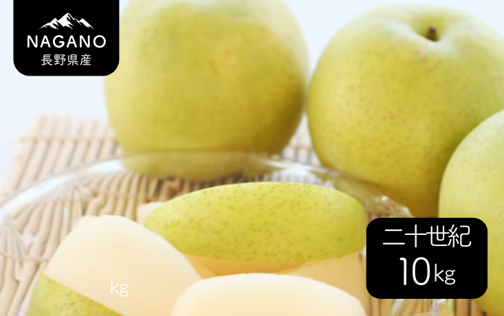 二十世紀梨 約10kg（16～40玉）